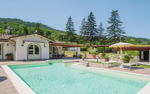 Versilia Holiday: Acqua, Cielo, Pianta, Proprietà, Piscina, Costruzione, Azzurro, Albero, Architettura, Shade