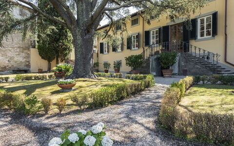 Villa San Gennaro: Pianta, Costruzione, Finestra, Albero, Botanica, Vegetazione, Manto Stradale, Casa, Fiore, Erba