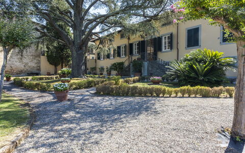 Villa San Gennaro: Pianta, Costruzione, Proprietà, Finestra, Botanica, Albero, Manto Stradale, Cielo, Vegetazione, Lotto