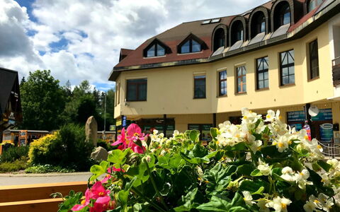 Alloggio:&nbsp;Harrachov Central Nest 61.2