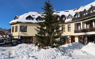 Alloggio:&nbsp;Harrachov Central Nest 61.2