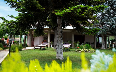 Residenza Thaulero: Pianta, Proprietà, Costruzione, Botanica, Verde, Natura, Foglia, Albero, Vegetazione, Architettura