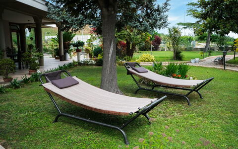 Residenza Thaulero: Pianta, Proprietà, Albero, Shade, Mobili Da Esterno, Cielo, Tempo Libero, Spazio Pubblico, Erba, Comfort