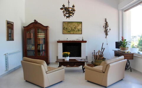 Tre Donne: Pianta, Cornice, Mobilia, Divano, Pianta Della Casa, Finestra, Legna, Interior Design, Vaso Di Fiori, Pavimento