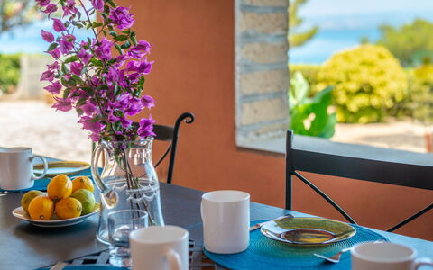 Sole: Tavola, Tavolo, Proprietà, Bicchieri, Tazza, Blu, Azzurro, Pianta, Tovaglia, Viola