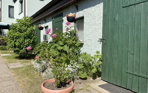 Gingst 602: Pianta, Fiore, Proprietà, Finestra, Costruzione, Vaso Di Fiori, Parete, Erba, Casa, Raccordo