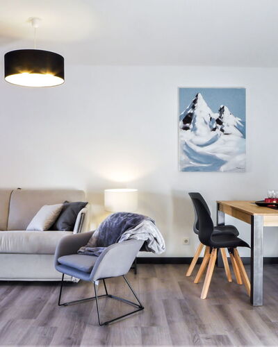 L'Espace Montagne 480.16