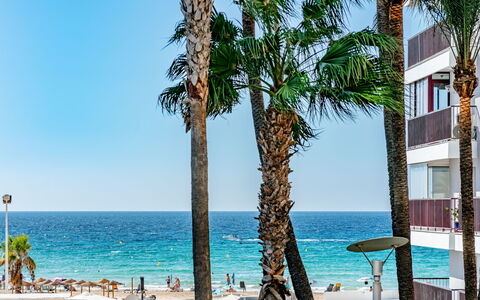 Bahia del Sol: Corpo D'Acqua, Spiaggia, Costa, Mare, Costiera E Morfologie Oceanic, Oceano, Riva, Ricorrere, Tropici