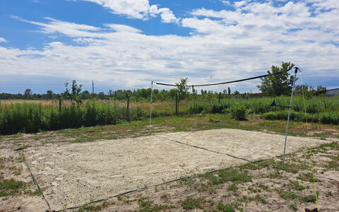 Balatoni Farmhaz: Nube, Pianta, Cielo, Comunita 'Impianto, Paesaggio Naturale, Albero, Lotto, Agricoltura, Cumulo, Erba