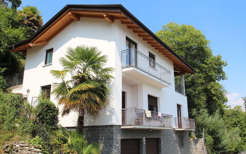 Lucina: Cielo, Pianta, Costruzione, Finestra, Albero, Casa, Ruota, Lotto, Arecales
