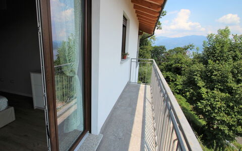 Lucina: Giorno, Proprietà, Pianta, Nube, Cielo, Costruzione, Albero, Legna, Architettura, Shade