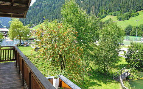 See 208: Pianta, Proprietà, Comunita 'Impianto, Verde, Foglia, Natura, Montagna, Albero, Paesaggio Naturale, Botanica