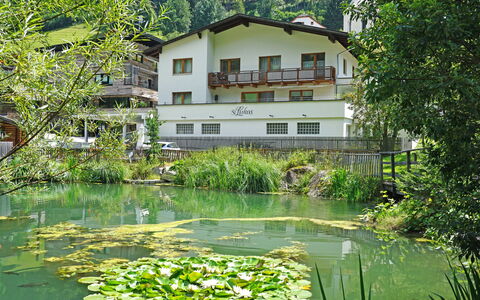 See 208: Acqua, Pianta, Costruzione, Finestra, Natura, Botanica, Albero, Paesaggio Naturale, Vegetazione, Fiore