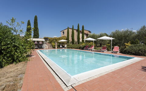 Villa Cevoli: Acqua, Pianta, Piscina, Cielo, Albero, Rettangolo, Sedia, Tempo Libero, Shade, Materiale Composito