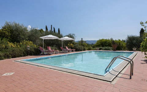 Villa Cevoli: Acqua, Cielo, Piscina, Pianta, Rettangolo, Shade, Albero, Materiale Composito, Tempo Libero, Mobili Da Esterno