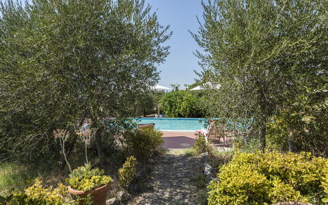 Villa Cevoli: Pianta, Acqua, Comunita 'Impianto, Cielo, Paesaggio Naturale, Albero, Vegetazione, Arbusto, Erba, Piscina