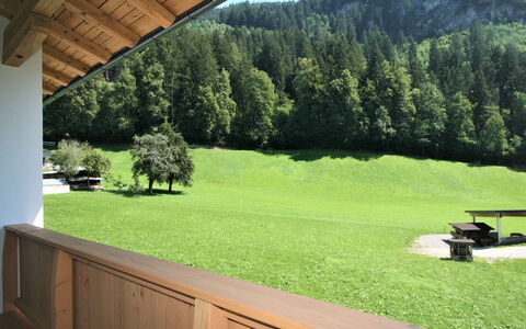 Mayrhofen 350: Pianta, Proprietà, Cielo, Ecoregione, Panchina, Albero, Ambiente Naturale, Shade, Legna, Paesaggio Naturale