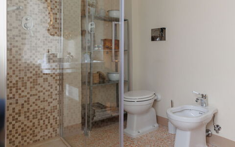 Appartamento Mancini: Idraulico Fixture, Gabinetto, Bagno, Toilet Seat, Interior Design, Pavimento, Pavimentazione, Idraulico, Doccia Porta, Legna