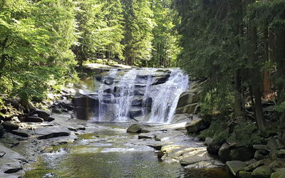 Harrachov Pool & Garden