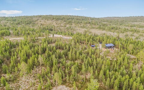 Villa Horihane: Albero, Ambiente Naturale, Foresta, Paesaggio, Ecoregione, Lotto, Comunita 'Impianto, Boschetto