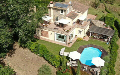 La Quiete: Costruzione, Pianta, Lotto, Casa, Albero, Urban Design, Paesaggio, Zona Residenziale, Erba, Immobiliare