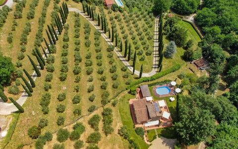 La Quiete: Pianta, Proprietà, Paesaggio Naturale, Lotto, Albero, Urban Design, Costruzione, Erba, Area Rurale, Tempo Libero