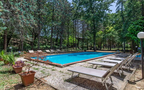 Villa Pania: Pianta, Acqua, Azzurro, Piscina, Vaso Di Fiori, Albero, Mobili Da Esterno, Shade, Tavolo, Tempo Libero