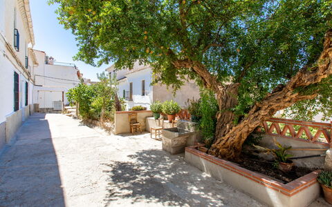 Patio de Las Granadas: Pianta, Costruzione, Finestra, Vaso Di Fiori, Albero, Manto Stradale, Casa, Cielo, Urban Design, Pavimentazione