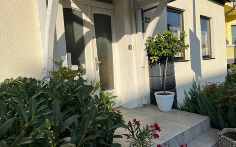 Schillerplatz: Pianta, Proprietà, Costruzione, Botanica, Finestra, Fiore, Architettura, Vaso Di Fiori, Parete, Linea