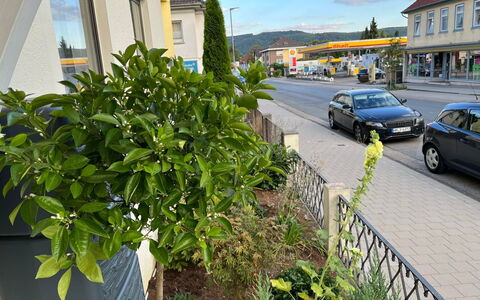 Schillerplatz: Pianta, Ruota, Nube, Proprietà, Costruzione, Auto, Veicolo, Manto Stradale, Cielo