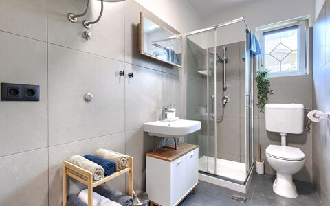 Labin 389: Interior Design, Pavimentazione, Idraulico Fixture, Bagno, Pavimento, Gabinetto, Toilet Seat, Lavello, Rubinetto, Idraulico