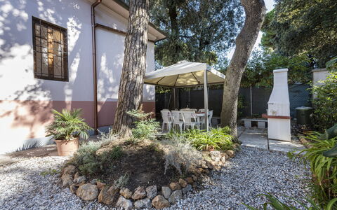 Villa Marconi: Pianta, Proprietà, Costruzione, Manto Stradale, Albero, Shade, Zona Residenziale, Immobiliare, Groundcover, Paesaggio