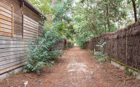 Cottage Etoile de Mer: Pianta, Manto Stradale, Lotto, Legna, Albero, Erba, Paesaggio Naturale, Groundcover, Strada, Arbusto