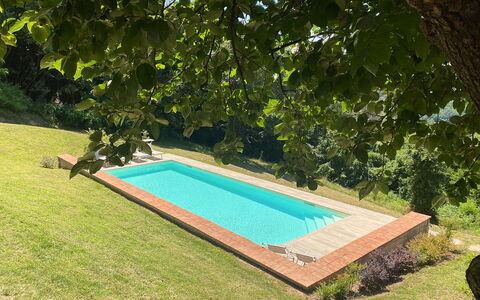 San Tommaso: Pianta, Piscina, Acqua, Rettangolo, Shade, Erba, Tempo Libero, Arbusto, Paesaggio, Groundcover