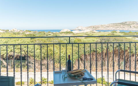 Capo Testa: Cielo, Pianta, Proprietà, Ecoregione, Azzurro, Recinzione, Acqua, Shade, Lotto, Erba
