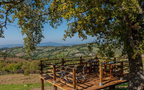 Meridiana: Cielo, Nube, Pianta, Albero, Manto Stradale, Asfalto, Lotto, Casa, Materiale Composito, Recinzione