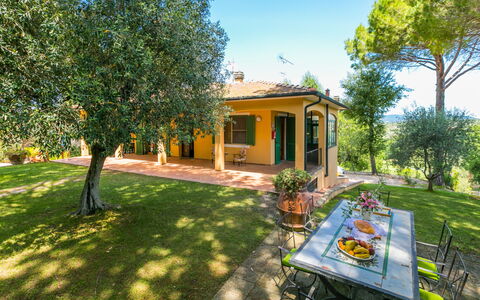 Villa le Querce: Pianta, Cielo, Costruzione, Albero, Shade, Paesaggio Naturale, Lotto, Erba, Casa, Villetta