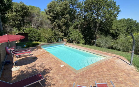 Villa le Querce: Cielo, Pianta, Piscina, Acqua, Shade, Albero, Mobili Da Esterno, Rettangolo, Erba, Costruzione