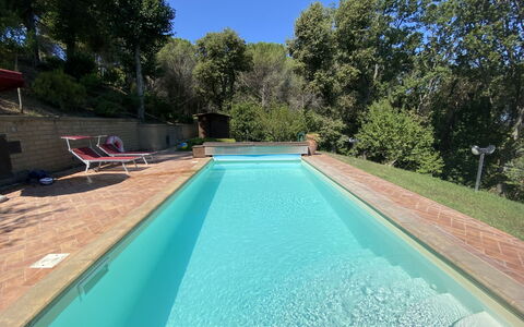Villa le Querce: Acqua, Cielo, Pianta, Natura, Piscina, Shade, Albero, Rettangolo, Legna, Pavimento