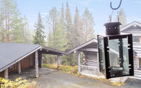 Rukanhippu: Inverno, Log Cabin, Larice, Congelamento, Pine Famiglia, Sempreverde, Raccordo