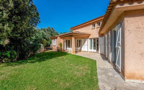 Corba Bala: Costruzione, Proprietà, Legna, Interior Design, Tavolo, Scrivania Del Computer, Casa, Finestra