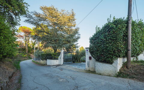 Villa Mistral: Legna, Illuminazione, Interior Design, Pavimentazione, Pavimento, Soggiorno, Immobiliare, Latifoglie, Tavolo, Fascio