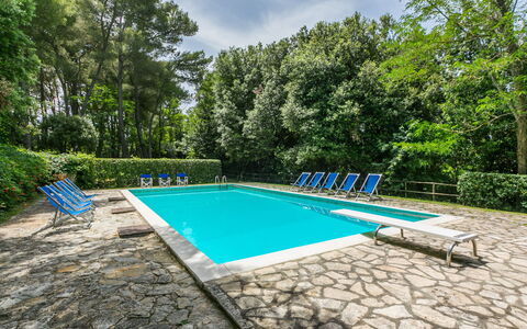 Saletto: Acqua, Pianta, Cielo, Piscina, Nube, Albero, Shade, Rettangolo, Mobili Da Esterno, Erba
