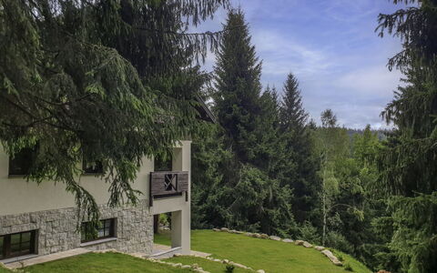 Harrachov 130: Neve, Cielo, Montagna, Finestra, Nube, Costruzione, Casa, Pendenza, Albero, Villetta