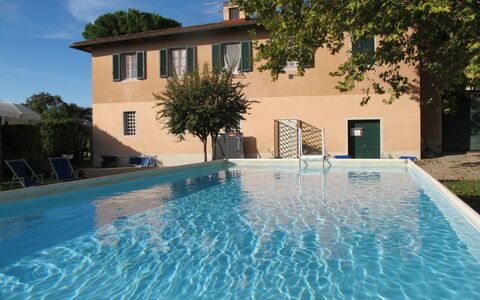 Scaletta + Girasole: Acqua, Pianta, Proprietà, Cielo, Costruzione, Piscina, Azzurro, Nube, Albero, Finestra