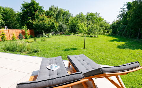 Sunstreet: Pianta, Cielo, Comunita 'Impianto, Natura, Mobili Da Esterno, Tavolo Esterno, Albero, Paesaggio Naturale, Erba, Tempo Libero