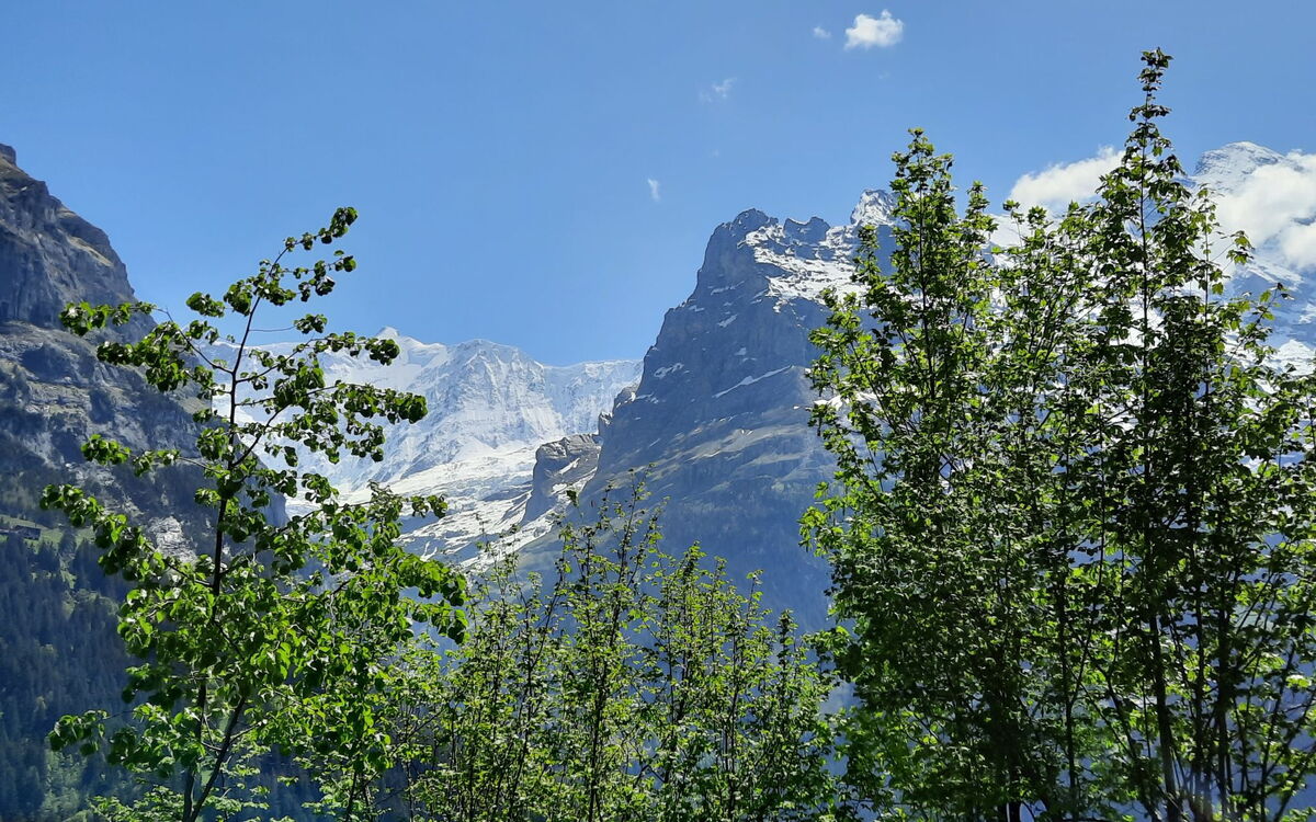 Chalet zur Höhe