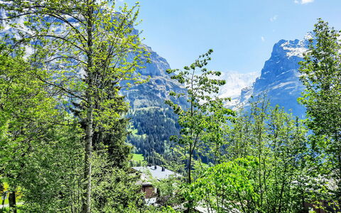 Chalet zur Höhe: Geografia Montane, Albero, Verde, Natura, Montagna, Vegetazione, Catena Montuosa, Highland, Collina, Hill Station