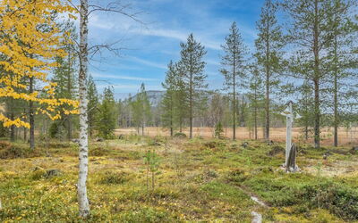 Puukenkä