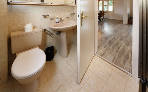 Chalet Dori: Pavimentazione, Idraulico Fixture, Lavandino Del Bagno, Parete, Pavimento, Interior Design, Legna, Bagno, Lavello, Gabinetto